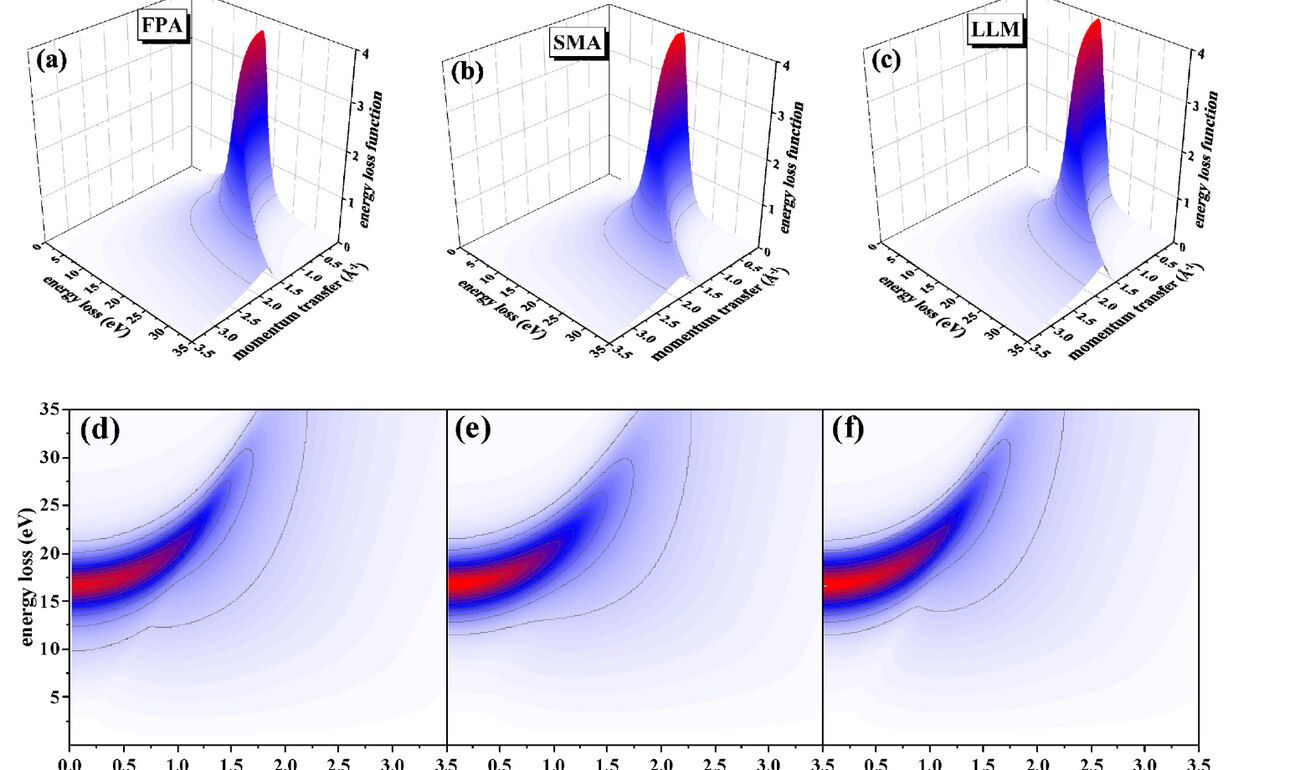 Momentum- and energy-resolved loss functions for silicon